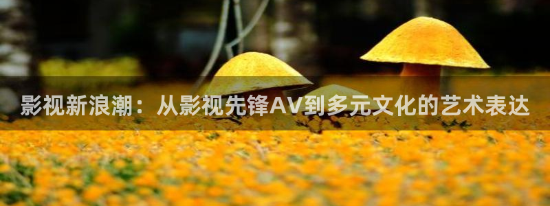 金桔电影网：影视新浪潮：从影视先锋AV到多元文化的艺术表达