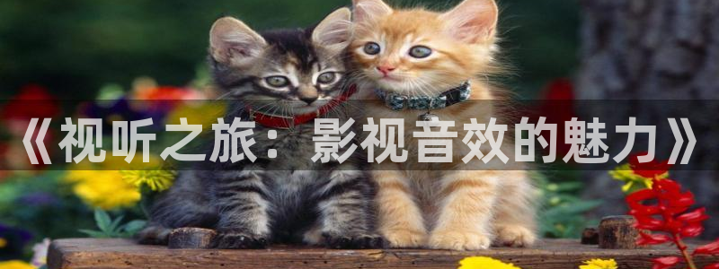 金桔视频免费下载：《视听之旅：影视音效的魅力》