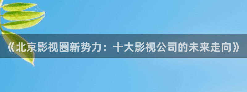 金桔视频大全：《北京影视圈新势力：十大影视公司的未来走向》