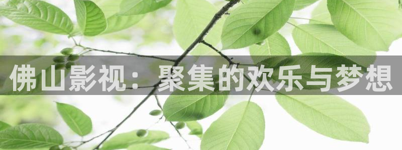 金桔直播免费视频：佛山影视：聚集的欢乐与梦想