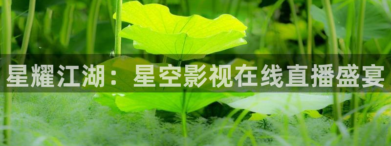 金桔柠檬汁视频：星耀江湖：星空影视在线直播盛宴