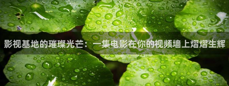 金桔直播视频观看：影视基地的璀璨光芒：一集电影在你的视频墙上熠熠生辉